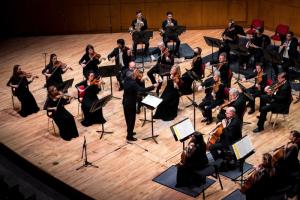 Irish Chamber Orchestra